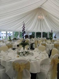 Classic Chair Covers 1097423 Image 2